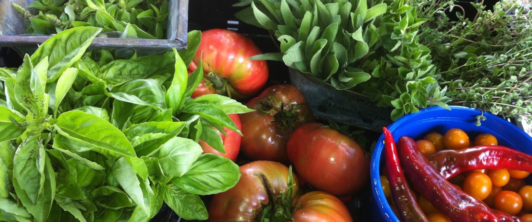 florida-summer-herbs-n-veg.jpg
