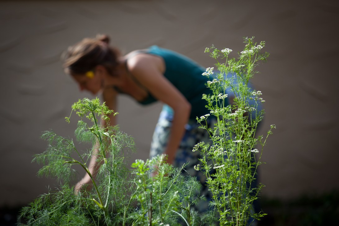 Charlotte Kesl for Working Food